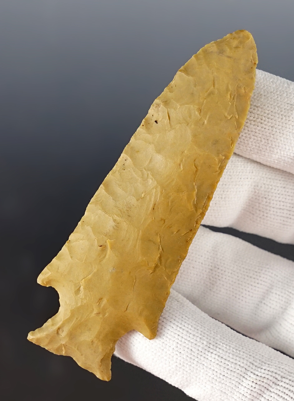 3 7/16" Benton Bottle Neck found in White Co., Illinois by Larry Musgrove. Motley COA.