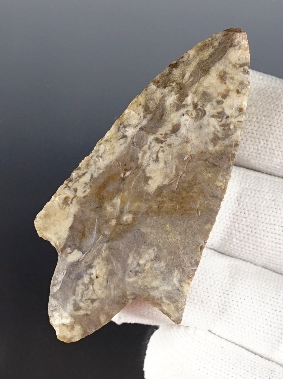 2 13/16" Waubesa found by Bill Lyons in the 1960s, near Tahlequah, Cherokee Co., Oklahoma. 