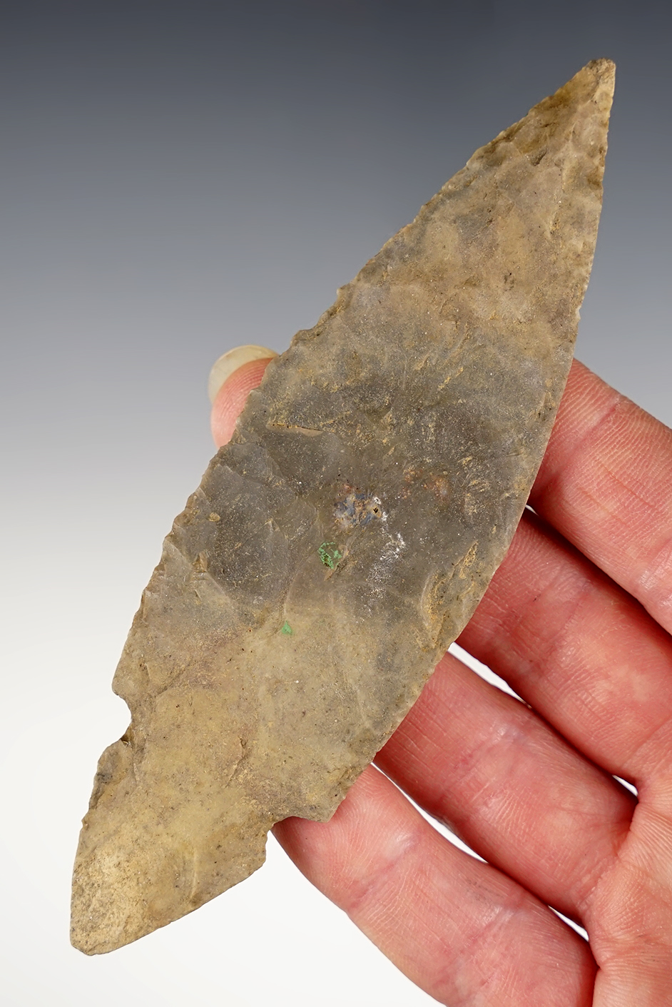 Exceptional 4 7/8" Adena Turkeytail that is thin and well made. Found in the Kentucky/Tennessee.