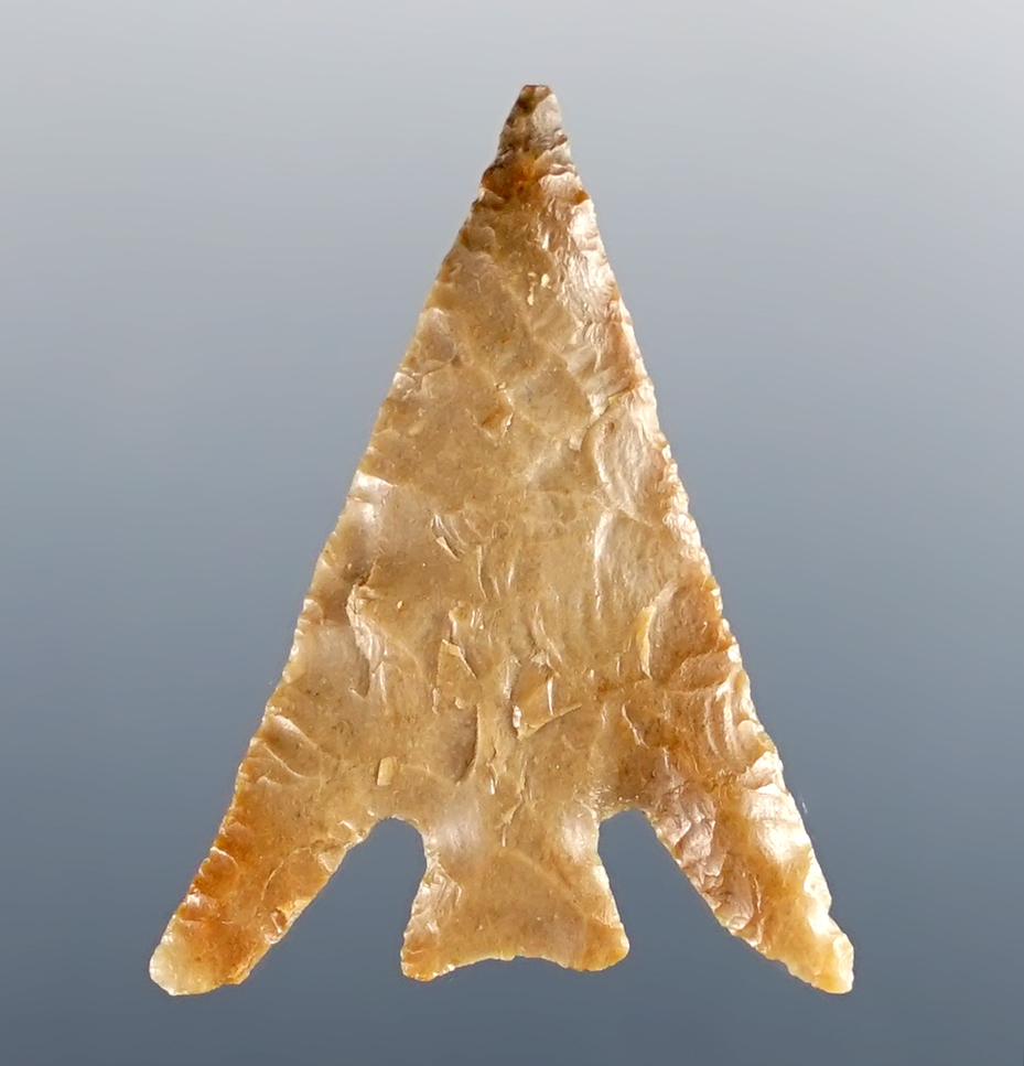 1 1/4" Columbia Plateau found in Washington. Ex. Lorenzo Badge. Bennett and Stermer COA's.