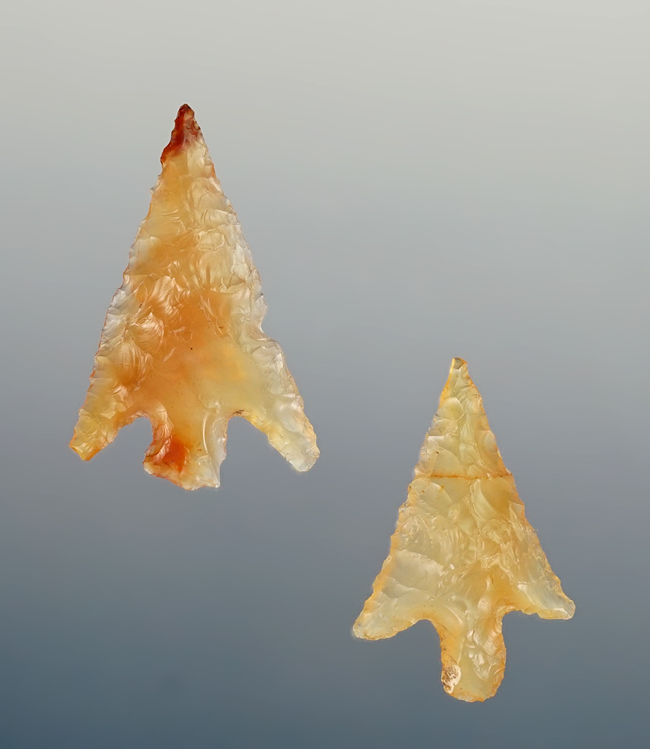 Pair of fine Gempoints found in Washington. The largest is 1".