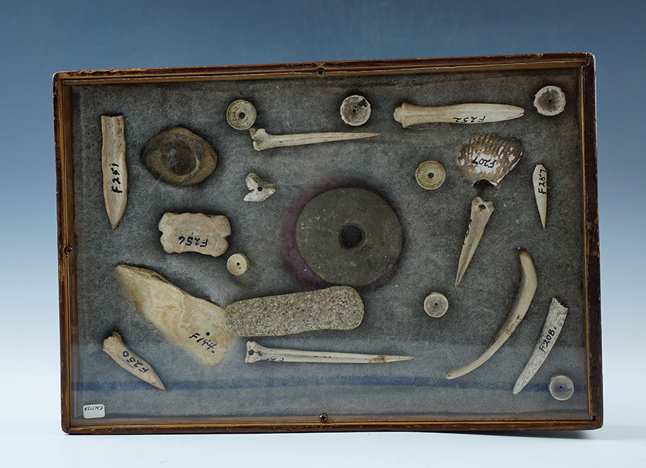 Set of 15 assorted Florida artifacts and 7 fossils recovered in Florida. Largest is 3 3/8". 