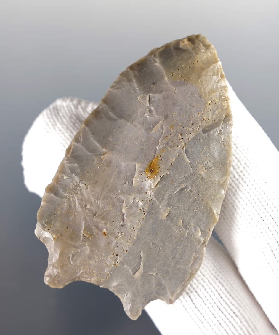 Nice 2 5/8" Buzzard Roost Creek found in Gallatin Co., Kentucky. 