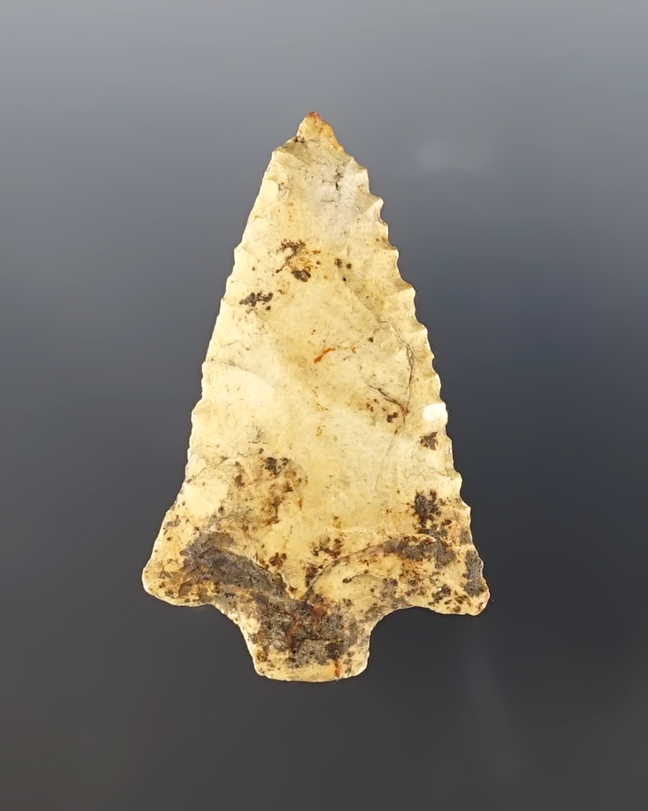 2 1/4" serrated stemmed knife found in South Georgia.