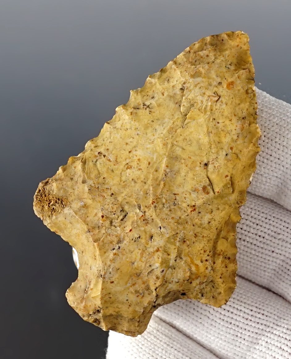 2 5/8 nicely serrated knife found in Florida.