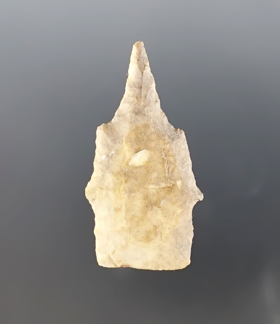 Rare! 1 3/4" Scottsbluff drill found in the 1960s in Nevada on a private ranch in the Alvord Desert.