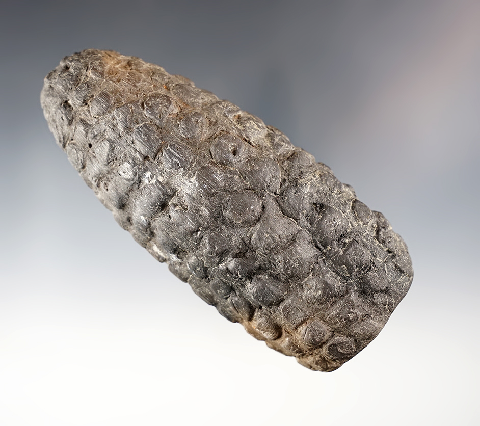 Highly collectible 4 15/16" Pre-Columbian Corn Effigy found in South America. Motley COA.