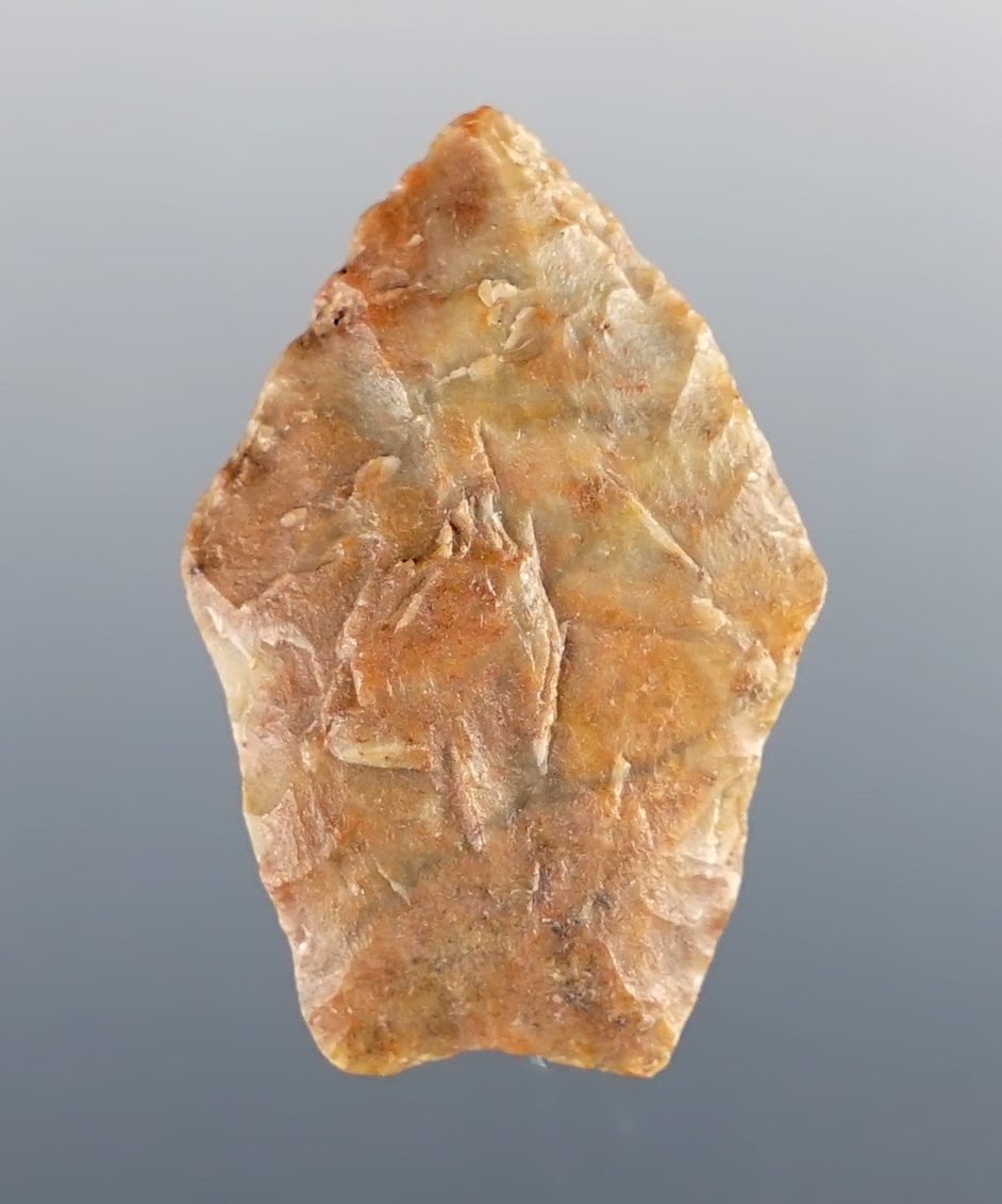 1 1/4" Paleo Spedis that is well styled. Found near the mid-Columbia River in the 1960s. 