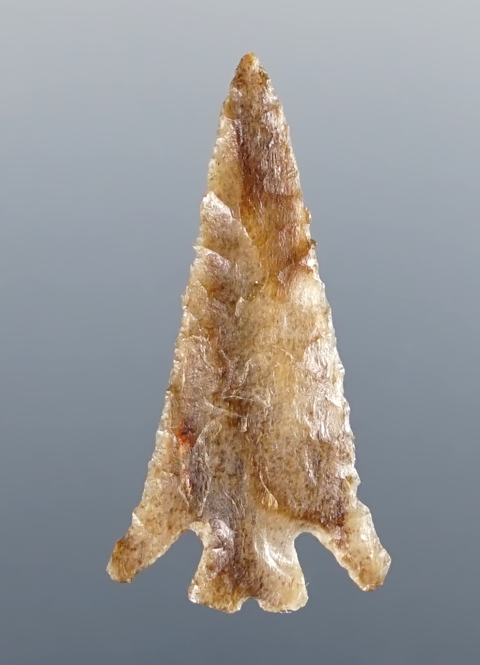 1 1/8" Columbia plateau split stem made from Agatized wood. Washington/Oregon area.