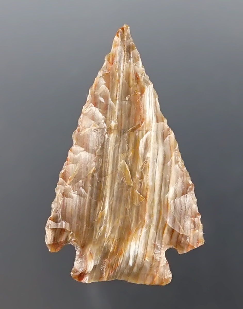 Fine 1 1/2" Snake River Cornernotch made from Petrified Wood. Found near the Columbia River.