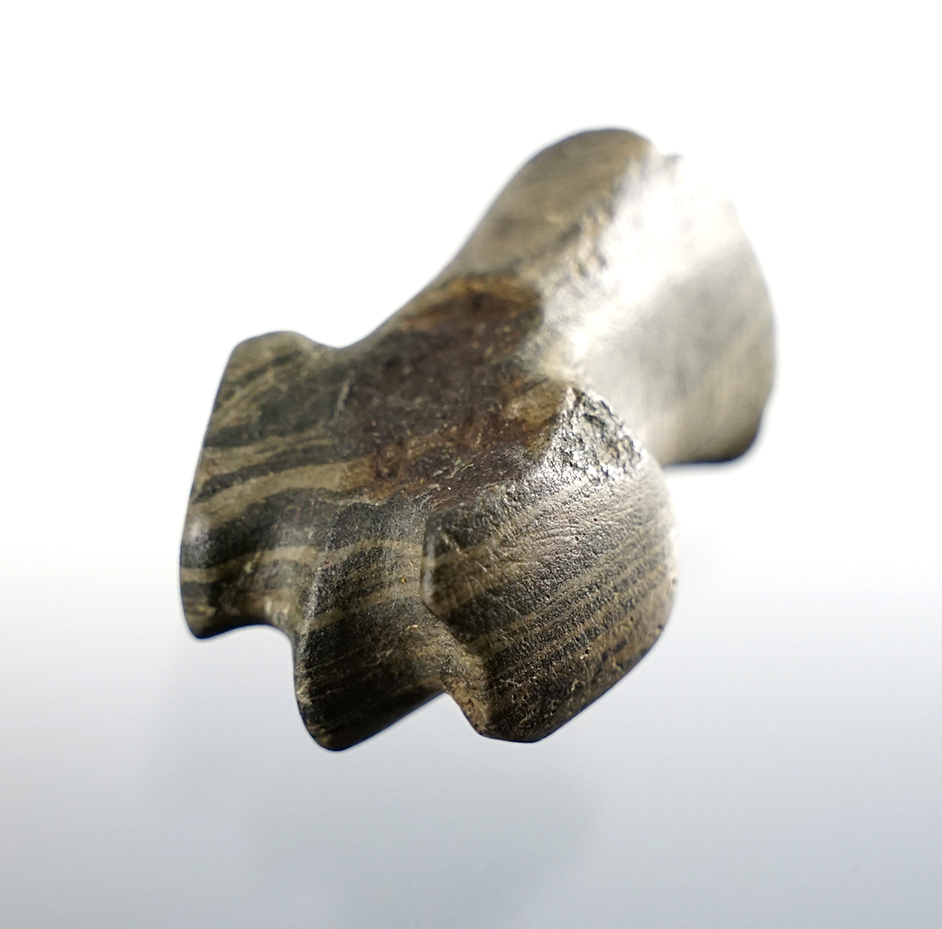 1 3/8" Banded Slate Pop-Eyed Lizard Effigy Head section found in Newton Co., Indiana in 1940.