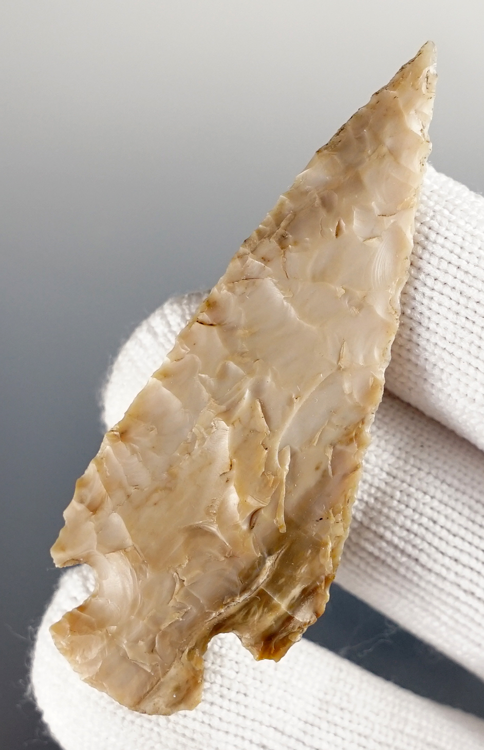 2 1/2" Snake River Cornernotch recovered near the Columbia River. Washington/Oregon.