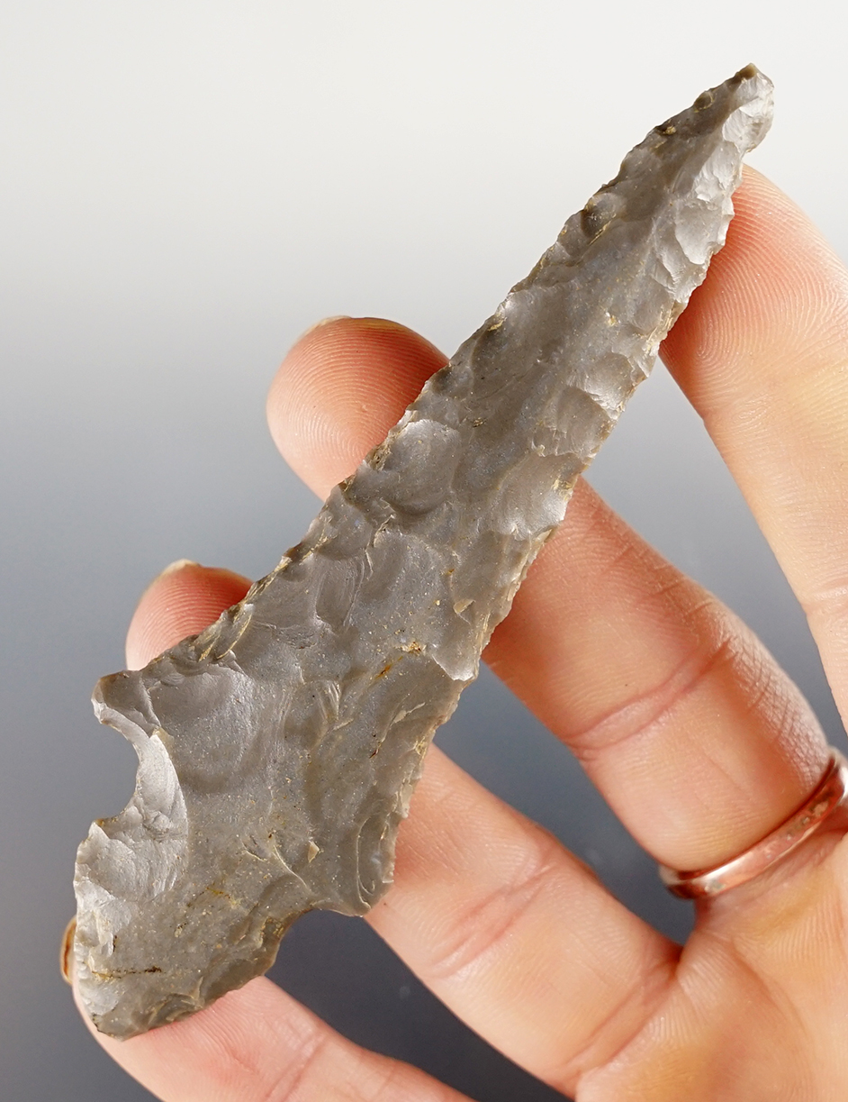 3 3/4" Hornstone Turkey Tail Drill found in Richland Co., Ohio. Ex. Humprich. Bennett COA.