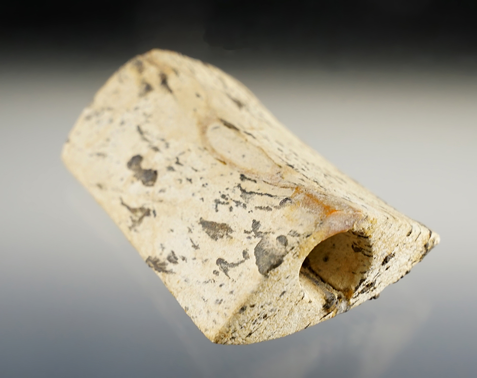 2 7/8" Saddleback Bannerstone found in Perry Co., Indiana. Broken/glued at hole. Pictured! 