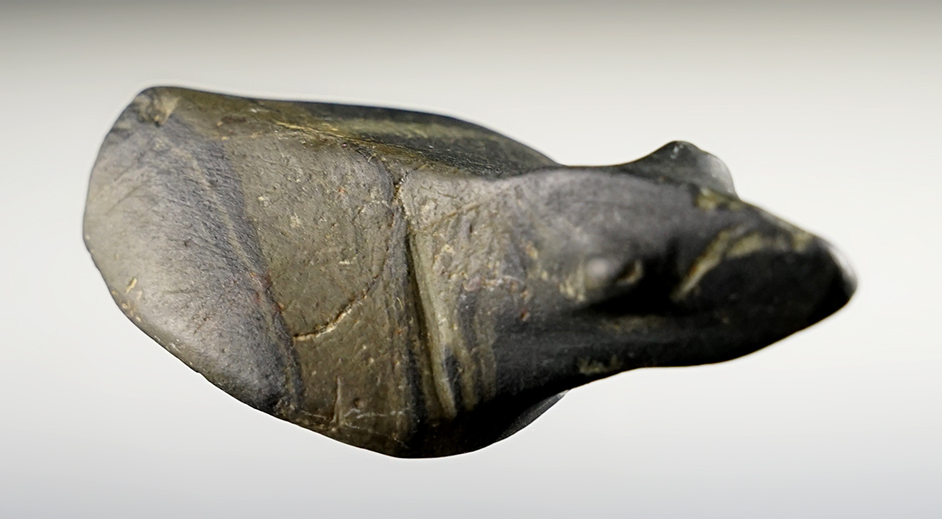 2 3/8"  Birdstone made from patinated Banded Slate. Found in the Ohio/Indiana area.