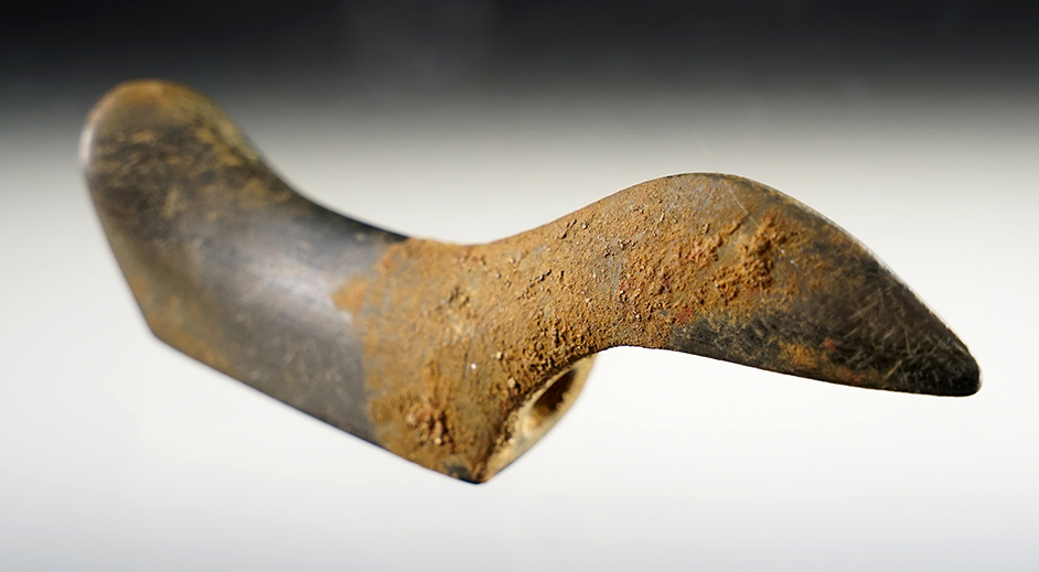 Superb 3 15/16" Birdstone found in 1934 by Seth Johnston in Eaton, Ohio. Pictured. 2 COA's.