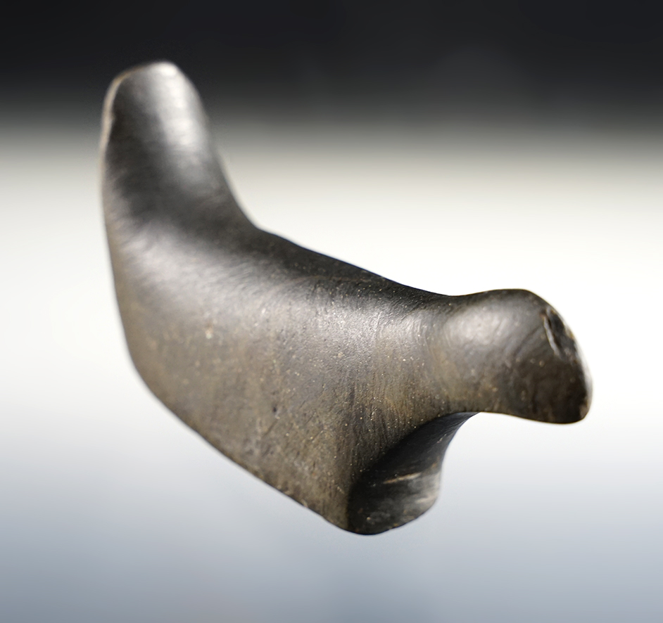 Well styled 3 3/8" undrilled  Birdstone found in Boone Co., Indiana. Pictured. 