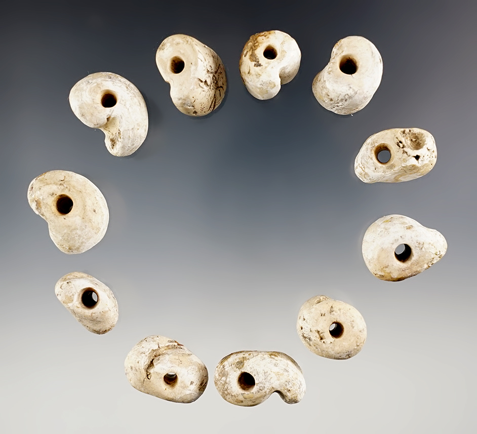 Set of 11 heavily patinated Drilled Conch Shell Beads in very good condition. Recovered in Florida. 