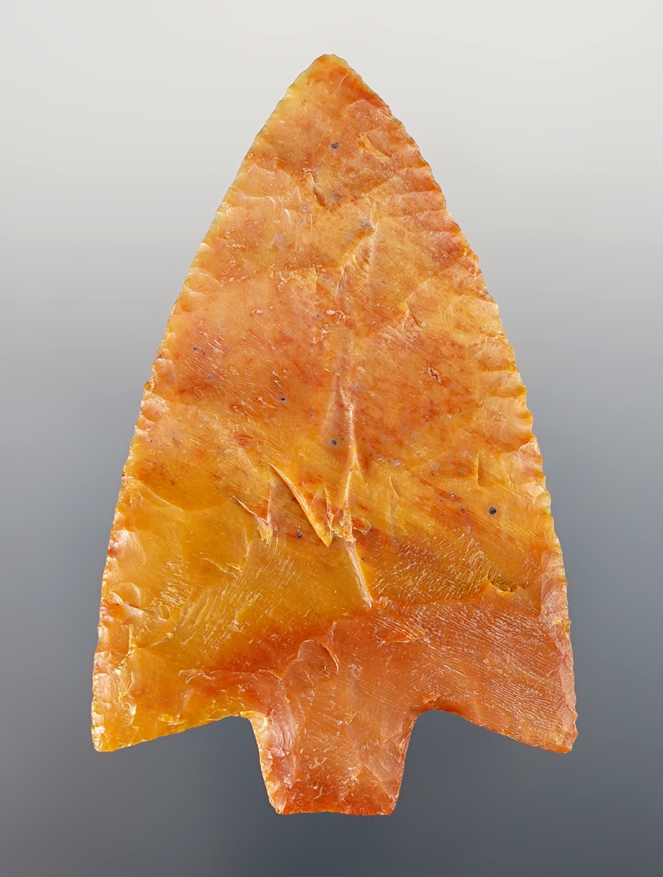 Superb! 2 15/16" Hillsborough that is finely flaked. Found in Polk Co., Florida. 