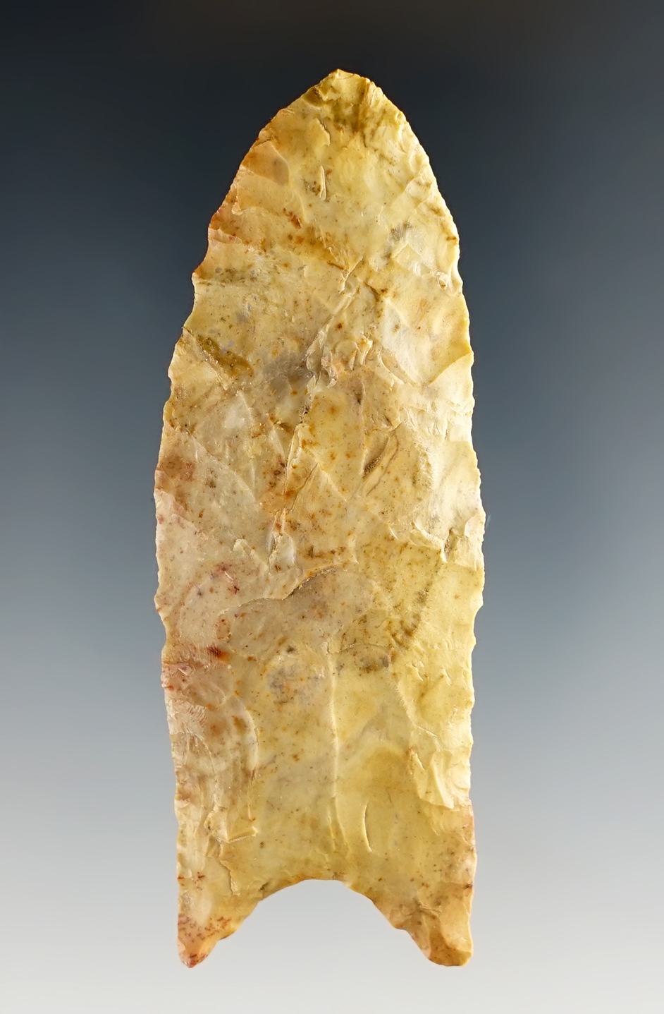 Highly colorful 3 3/16" Dalton Knife found in Alabama. Greg Perino COA dated 09-25-02. Pictured.