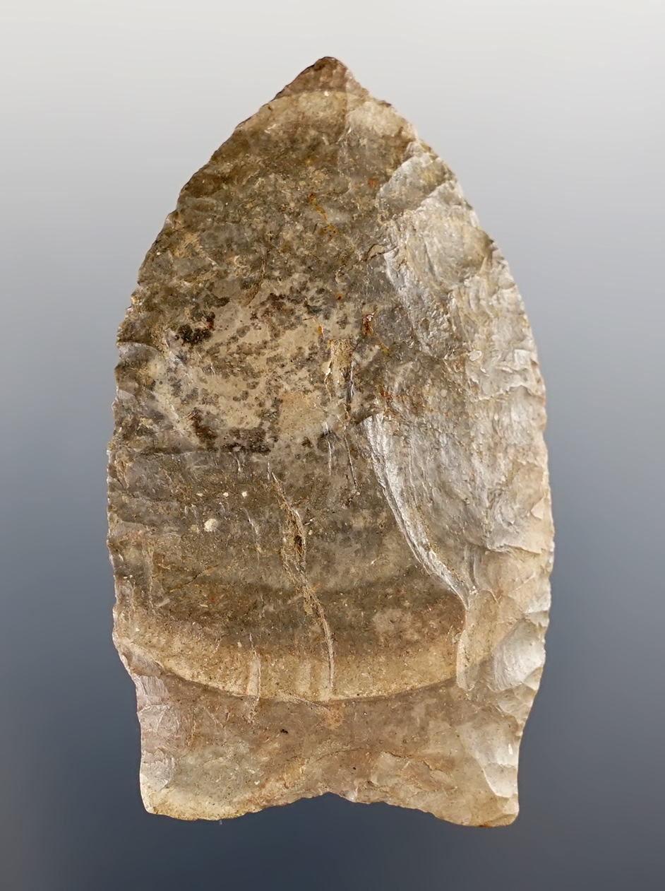 Outstanding 2 3/8" Hi-Lo found in Iowa Co., Michigan. Nice grinding to the stemmed area.