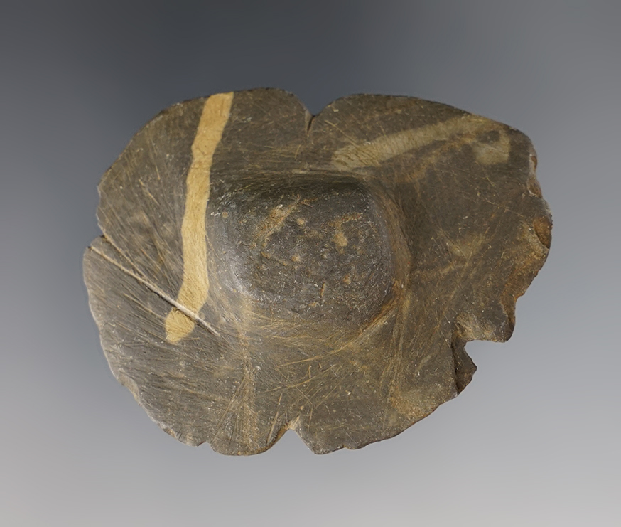 Miniature 2 3/8" Undrilled Wing Bannerstone found in Wood Co., Ohio. Ex Brent Heath collection.