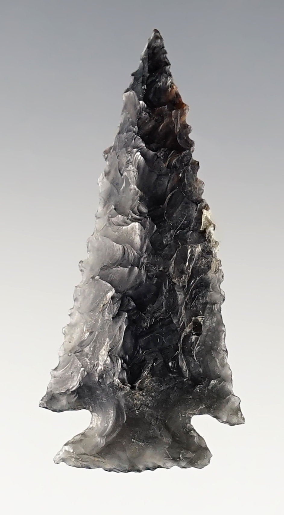 Obsidian Elko with incredibly fine serrations. Found in Southern Oregon.