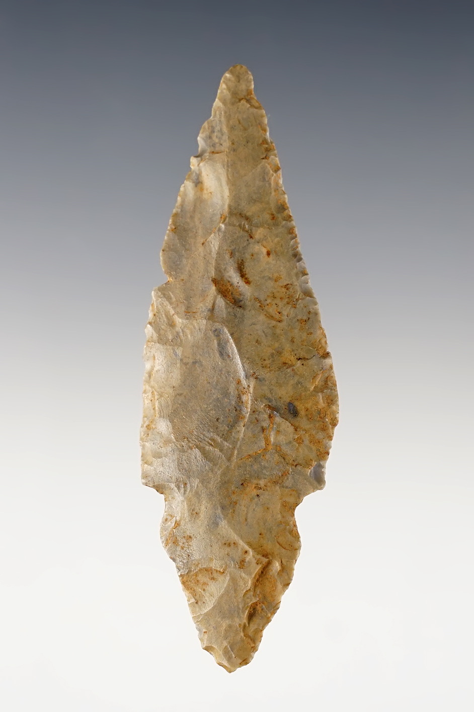 3 1/4" Fulton Turkeytail with a few box dings to the blade edges. Ballard Co., Kentucky. COA.