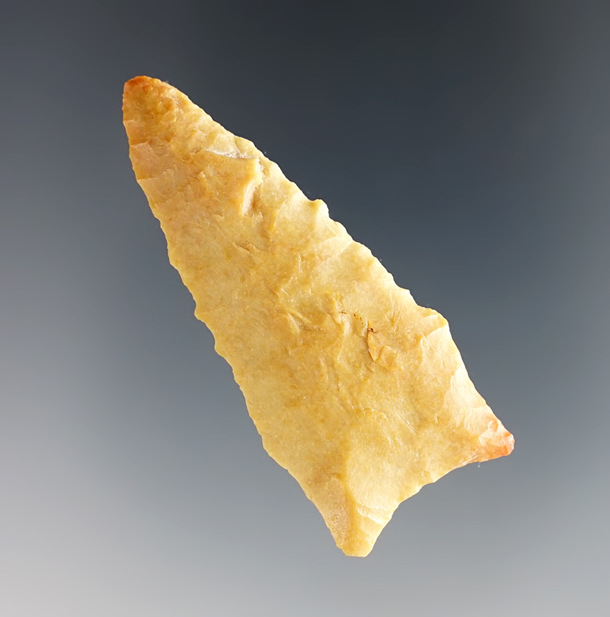 2 1/8" serrated Dalton made from Crowley's Ridge Cobble Chert. Found in Arkansas. 