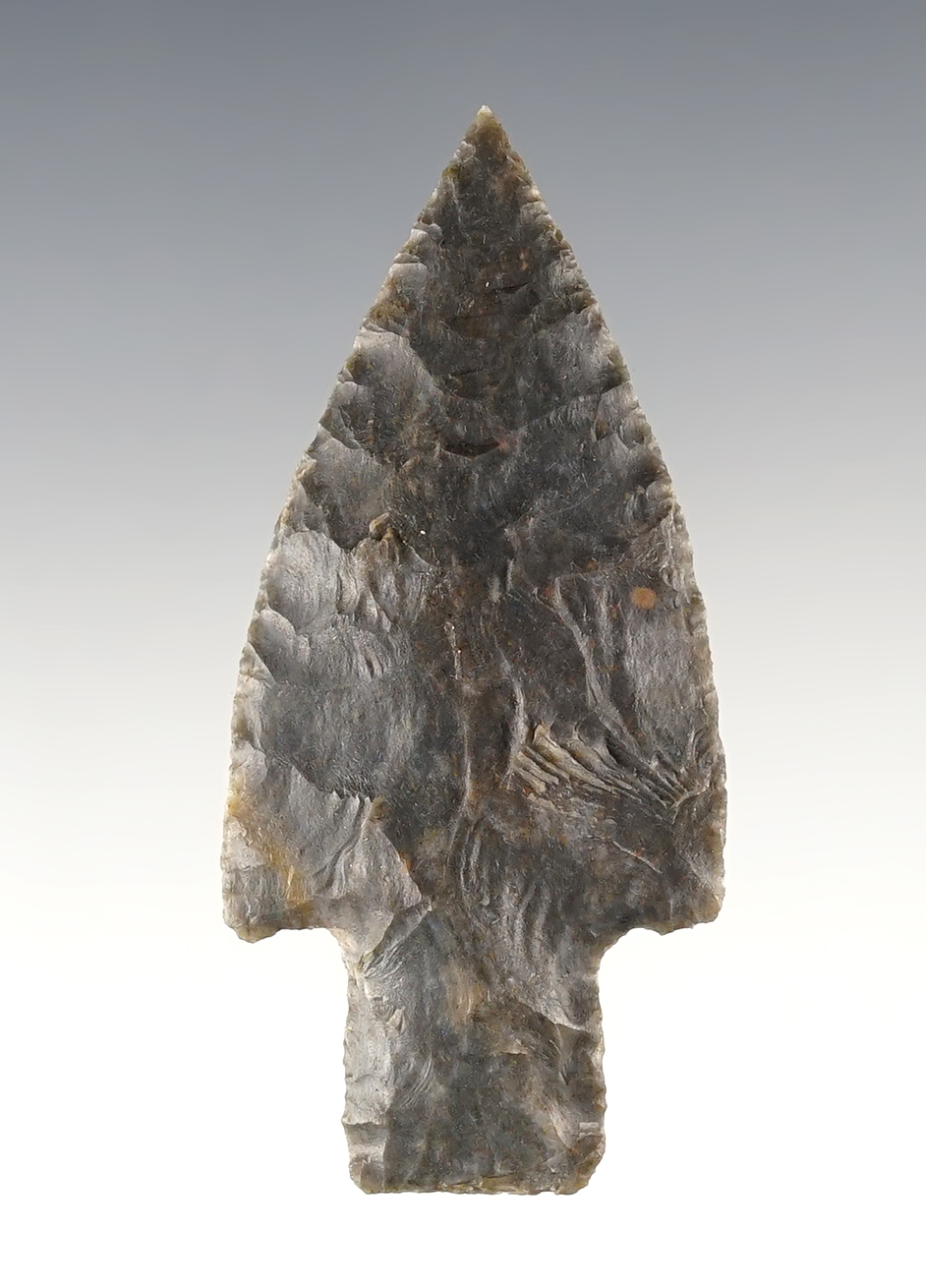 Finely flaked 2 9/16" Kramer found in Kentucky. Made from Hornstone. Davis COA, G-8.