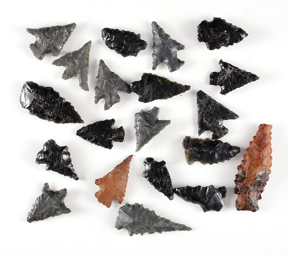 Set of 20 assorted points found close to the Willamette Valley, Oregon. The largest is 1 7/16".