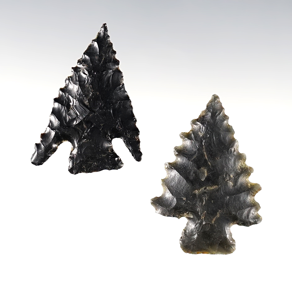 Pair of nicely serrated Oregon points found close to the Columbia River. Largest is 1 5/16".