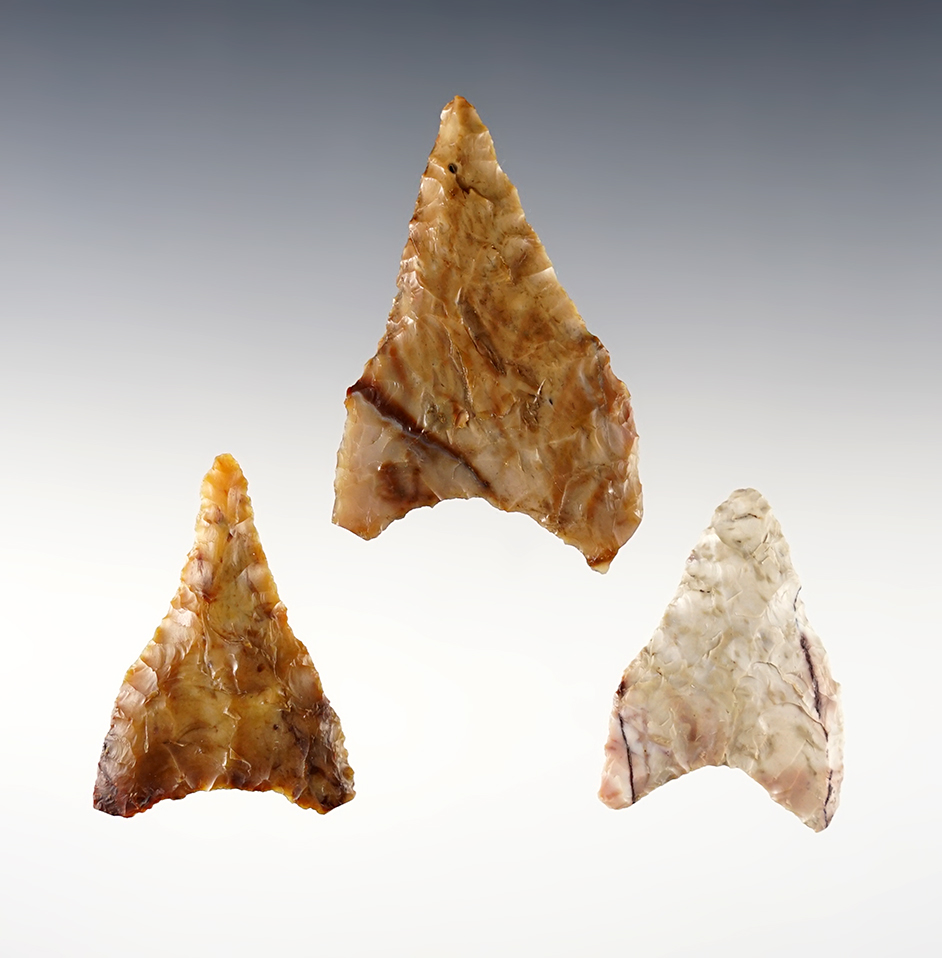 Set of 3 Columbia Mule Ear points found in the Washington/Oregon area. The largest is 2 1/2".