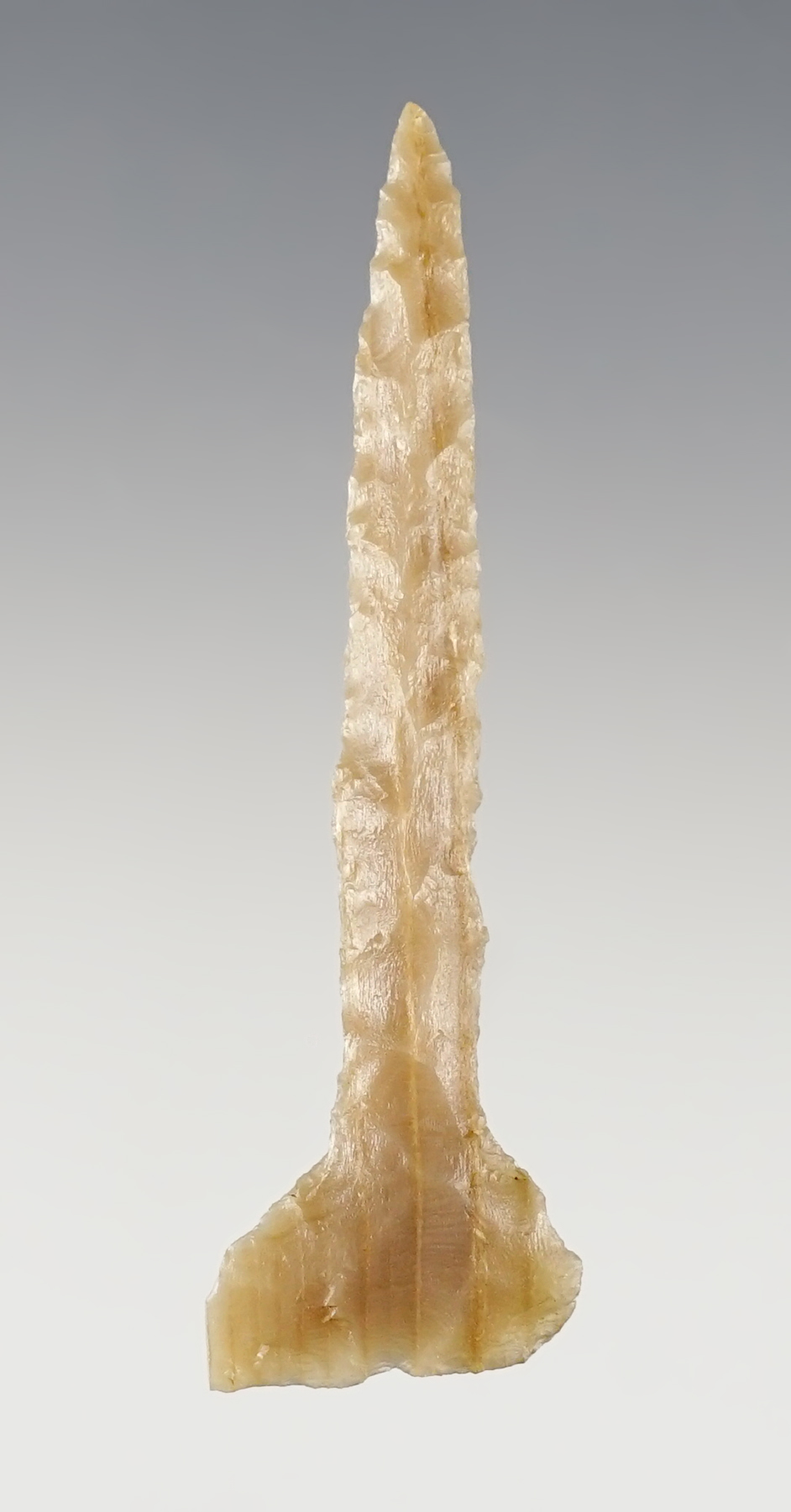 Fine 2 1/4" Drill found close to the Columbia River in the Washington/Oregon area.