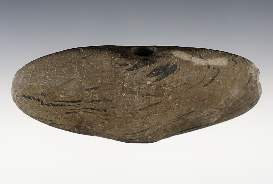 4 5/8" Ohio Wing Bannerstone with a small blowout on hole. Still displays well. 