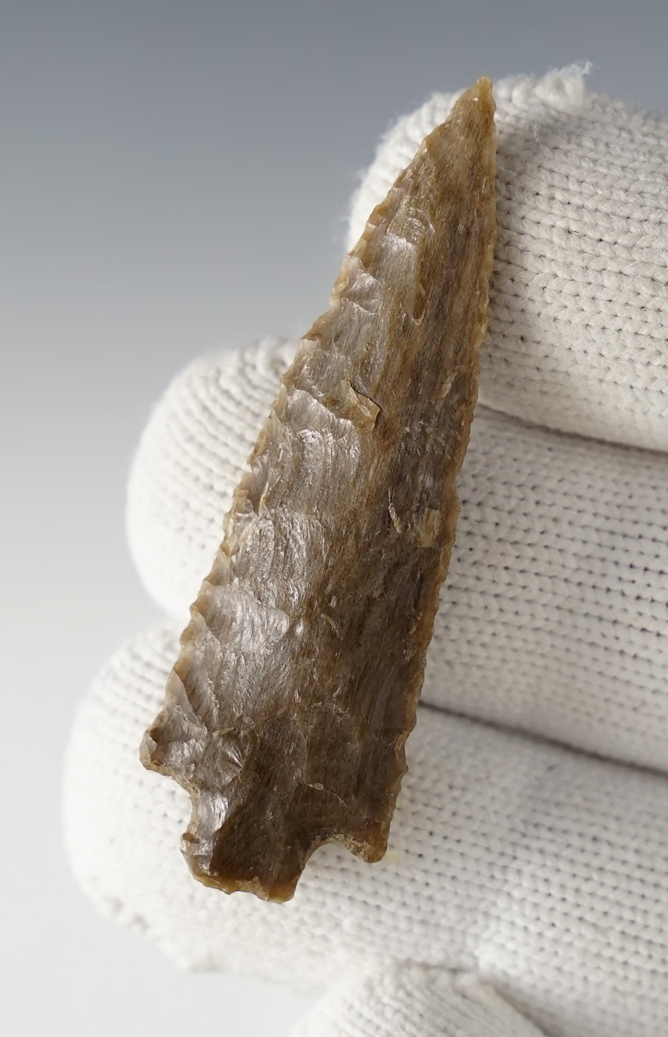 Excellent form on this 2 1/8" Rose Springs made from Petrified Wood.  Ex. Norma Berg.