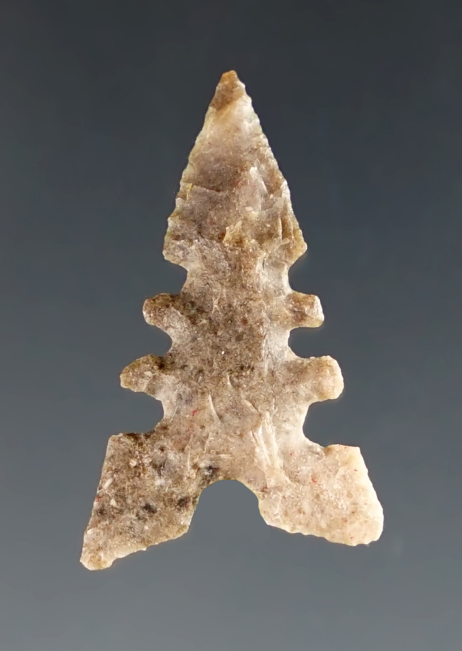 Well styled 1" Toyah that is nicely serrated. Found in Texas. Museum Deaccession. 