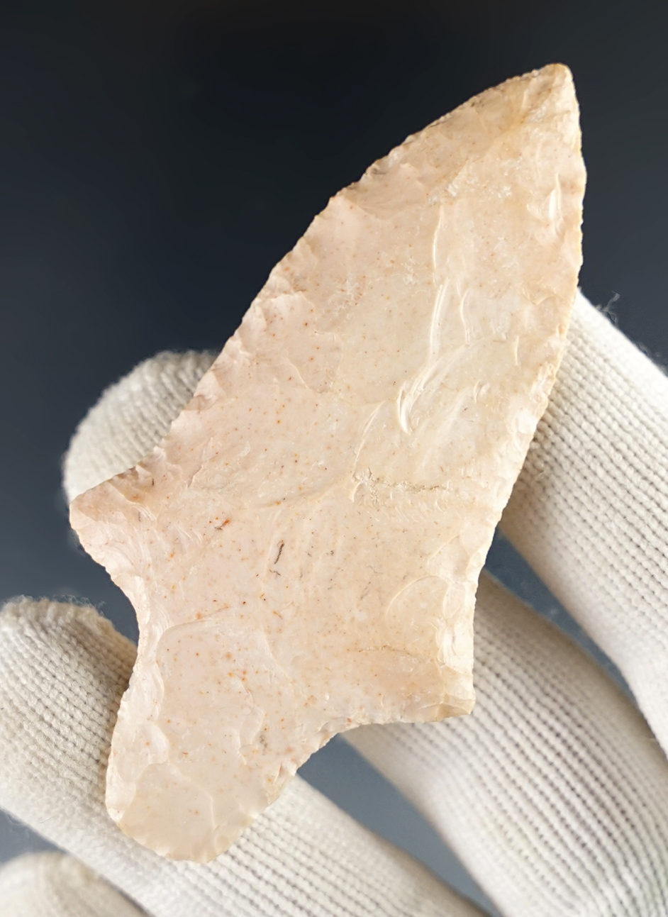 2 7/8" Dickson with well defined shoulders and a sharp tip. Found in St. Clair Co., Illinois.