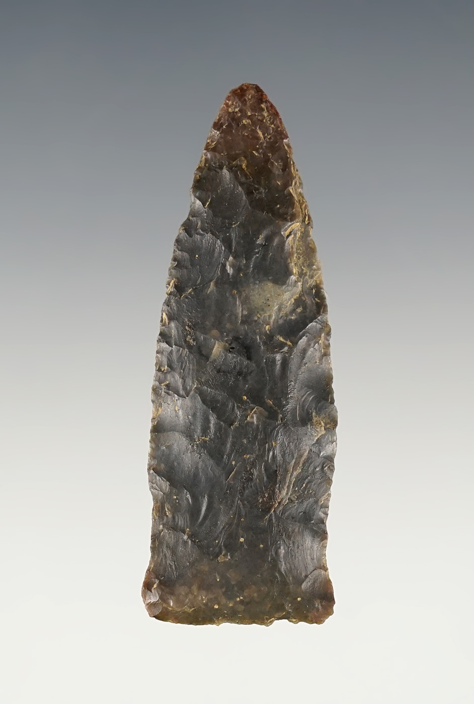 1 1/4” x ¾” Beaver Lake - Sonora chert. In great condition. Western Kentucky. Ex-Gary Noel. 