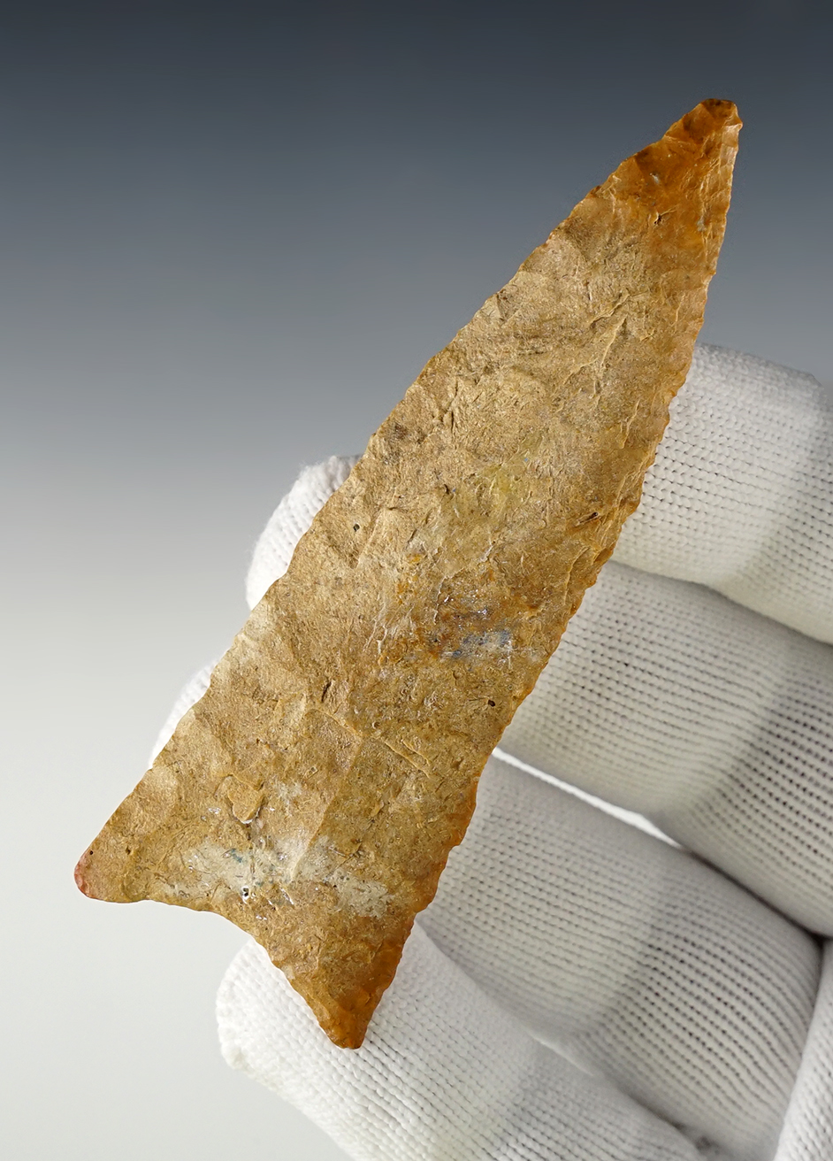 3 7/16" Dalton found by Joe Campbell along the Arkansas River in Tulsa, Tulsa Co., OK.  COA. 