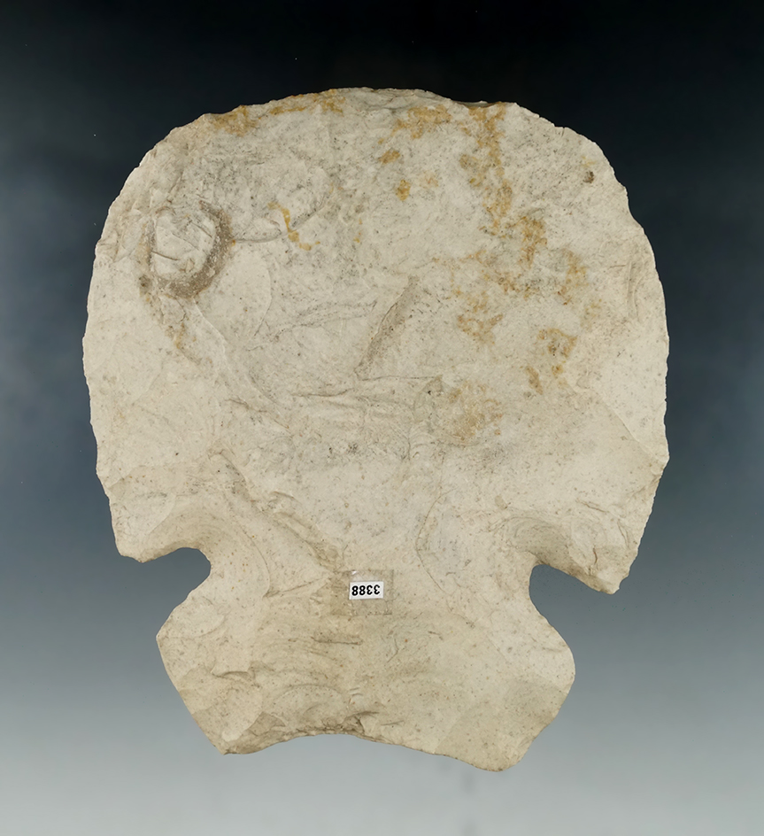 5 7/8" Notched Hoe found in Union Co., Illinois.