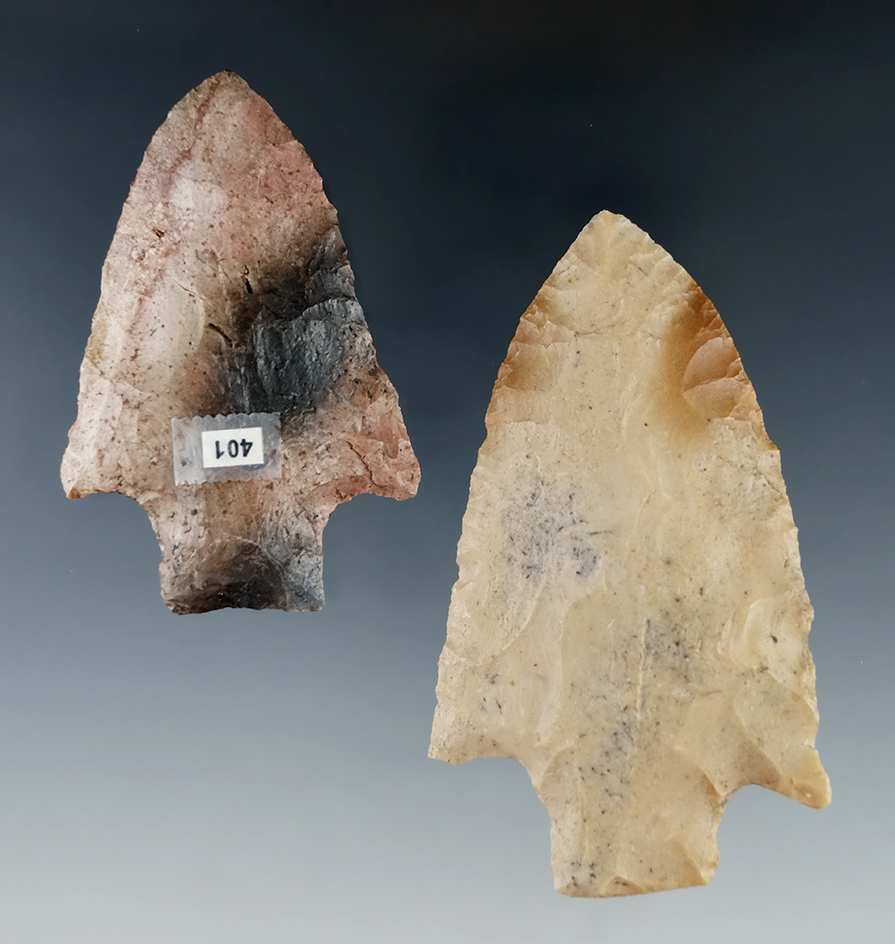 Pair of beautifully colored Florida Knives.  Largest is 3 3/16".