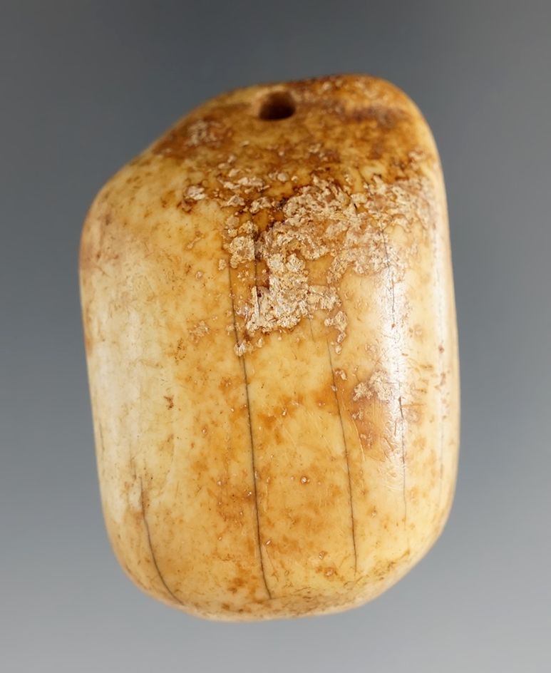 2 1/16" Fossilized Ivory Line Weight found on St. Lawrence Island. Stermer COA.