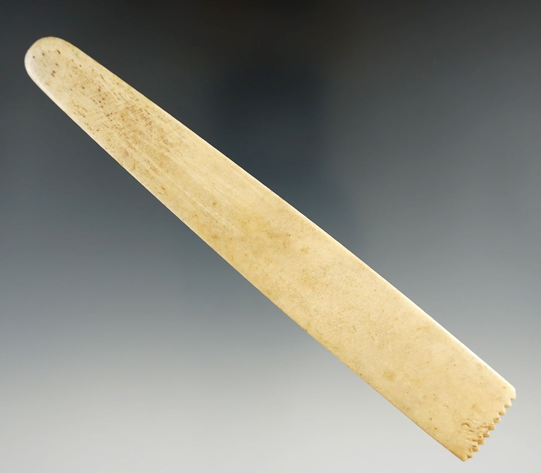 6 1/8" Alaskan bone scraper tool.