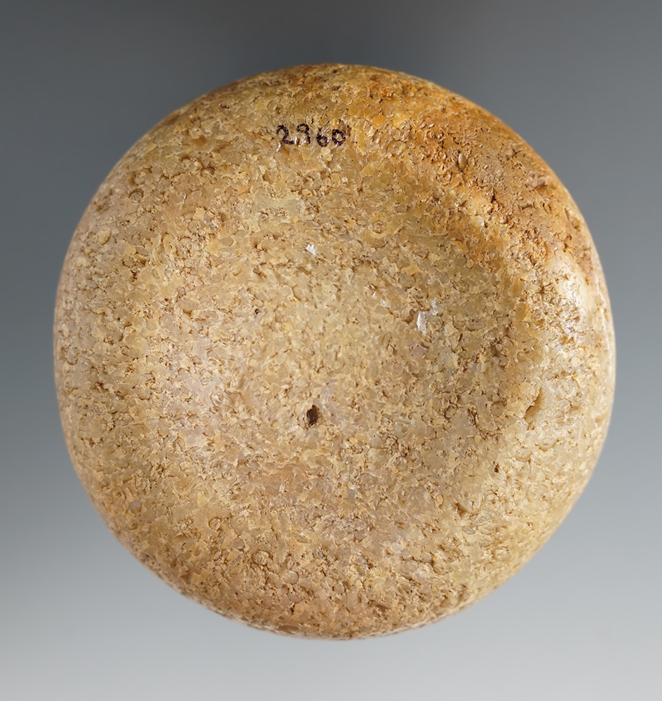 3 1/8" Double Cupped Discoidal - river polished Quartzite.  Poinsett Co., Arkansas. Bennett COA.