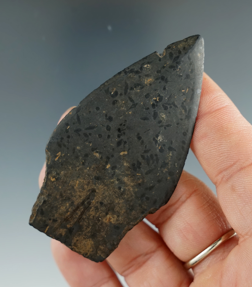 Thin and well styled 2 13/16" Inuit ground slate harpoon tip found in Alaska.