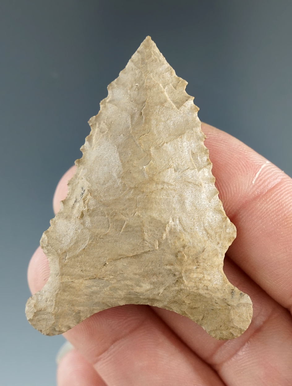 2 1/16" Hardaway Dalton found in the North Carolina / Virginia area.  Rogers and Bennett COA's.