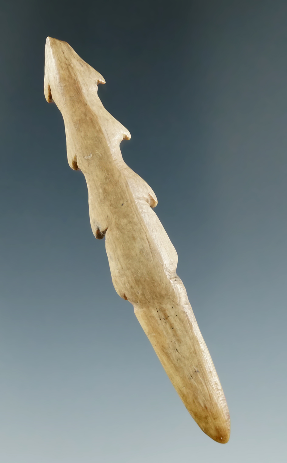 2 7/8" Nicely serrated Bone Harpoon Tip found in New York.