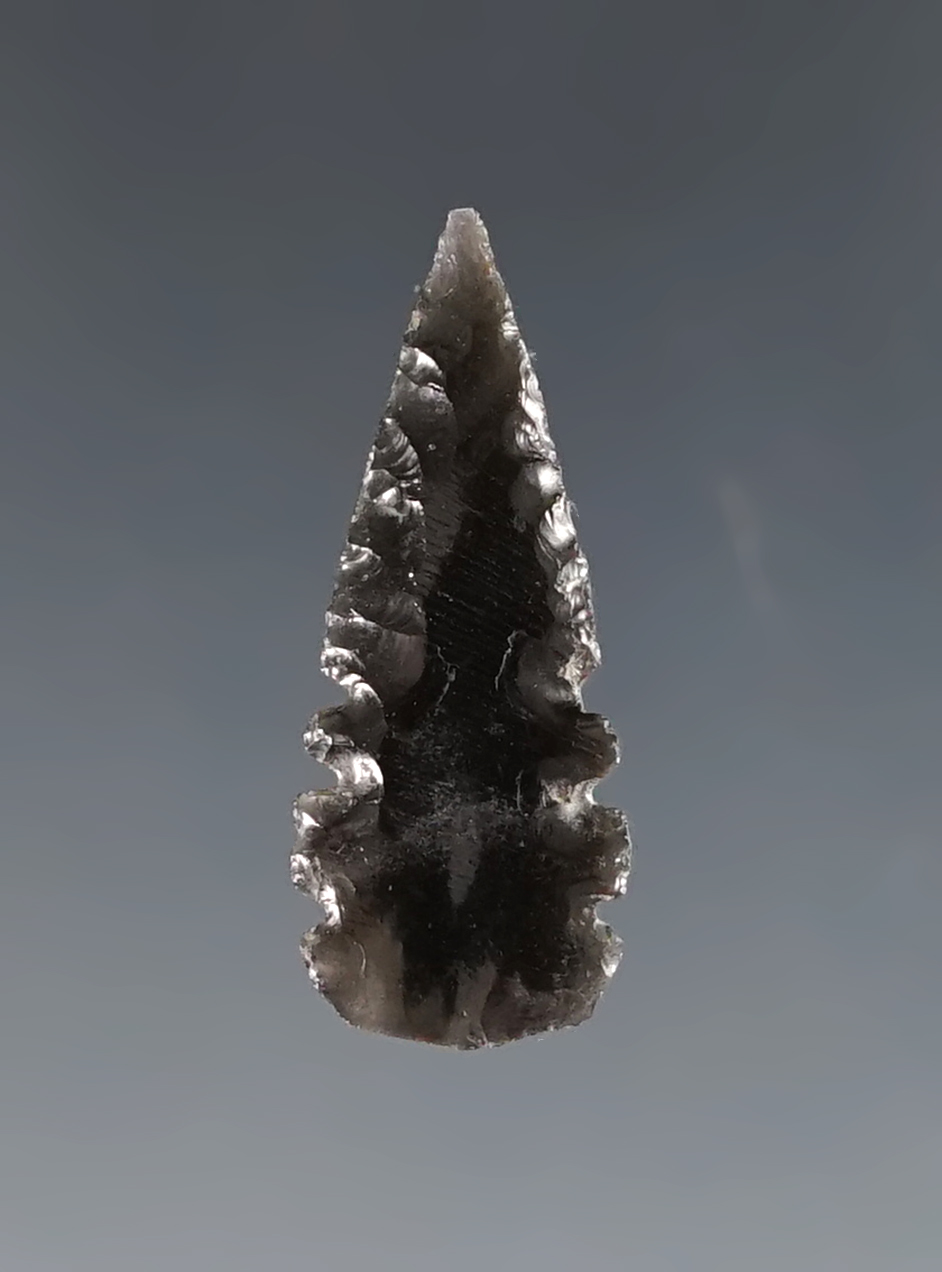 RARE! 1" Obsidian Stockland Point found in California.