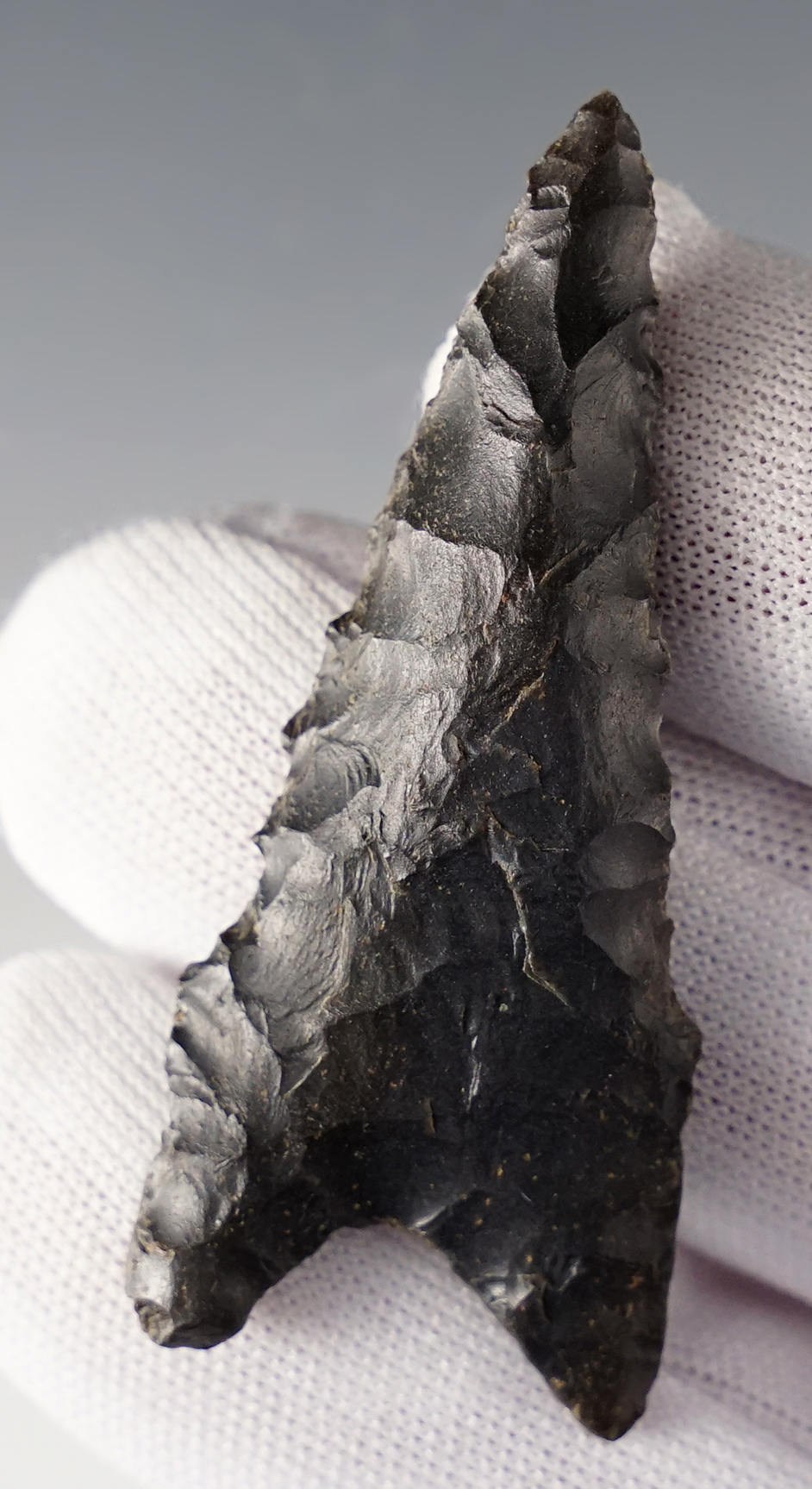 2 3/16" Kentucky Dalton with excellent flaking. Ex. Garry Mumaw.